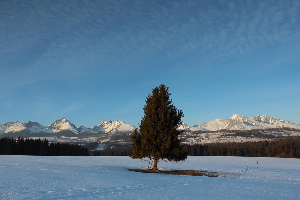 Chaty Tatra Tatranská Štrba Eksteriør billede